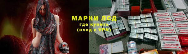 прущий лед Инсар