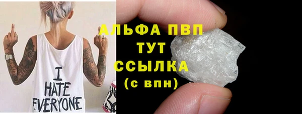прущий лед Инсар