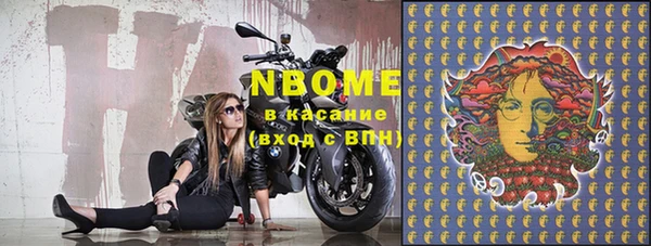 прущий лед Инсар