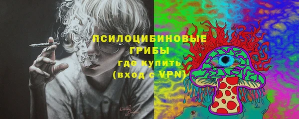 прущий лед Инсар