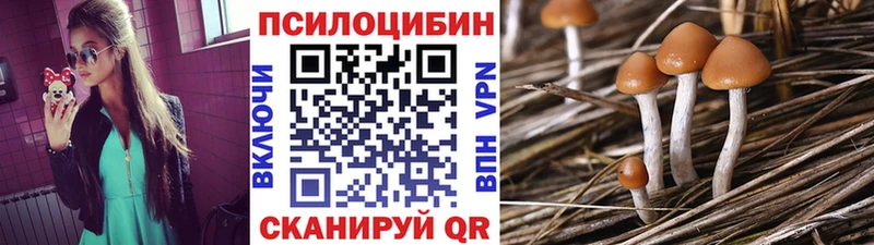 цена   Пенза  Псилоцибиновые грибы прущие грибы 
